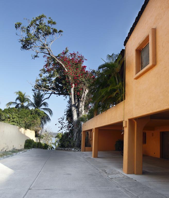 Hotel Casa Don Francisco Ixtapa  Pokój zdjęcie